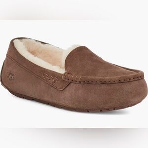 UGG Ansley Water Resistant Loafer Slipper in Espresso Size 7